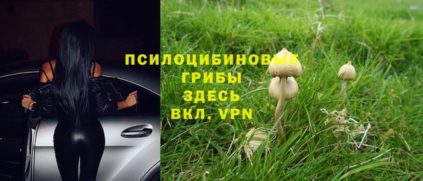 ECSTASY Абаза