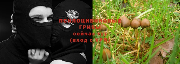 ECSTASY Абаза