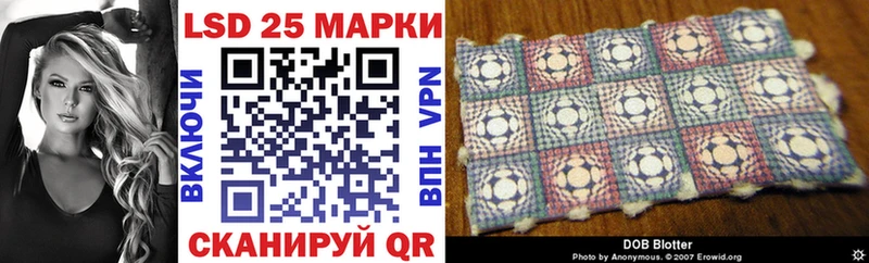 закладки  Терек  Марки N-bome 1500мкг 