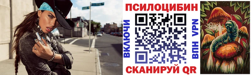 блэк спрут как войти  Терек  Галлюциногенные грибы прущие грибы 