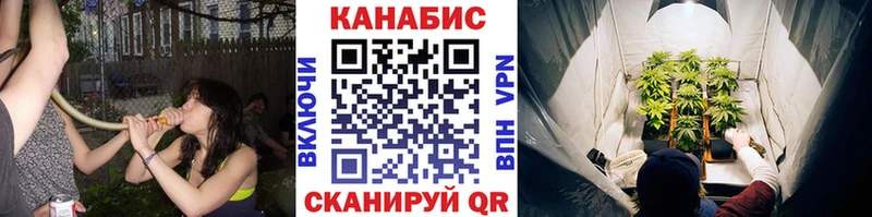 сколько стоит  Терек  Конопля AK-47 